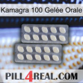 Kamagra 100 Gelée Orale 07